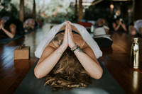 Holly's Bodhi Tree Favorites 2018