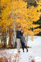 Karyn + Dustin // engagement