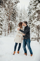 engaged in tahoe