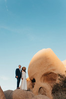 m + j // joshua tree