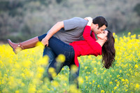 Sean and Katie's Engagement