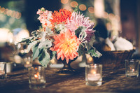 C + M // Venue & Details